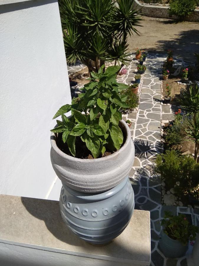 Kiki'S Apartment Veranda Dream Хриси Акти Екстериор снимка